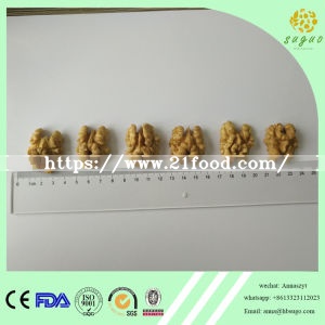 Extra Walnut Inshell Extra Light Walnut Kernel