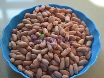 New Crop Peanut Kernels of Round Shape