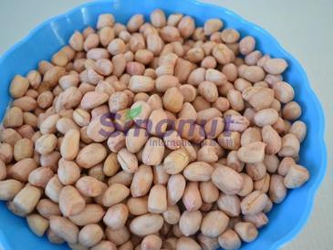 High Quality for Exporting Peanut