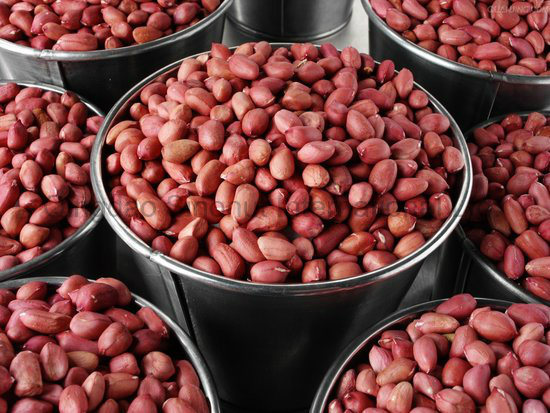 The Red Skin Peanut Kernel with 40/50
