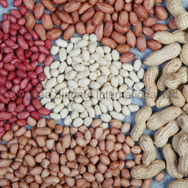 Crop Peanut in Shell of 9/11, 11/13
