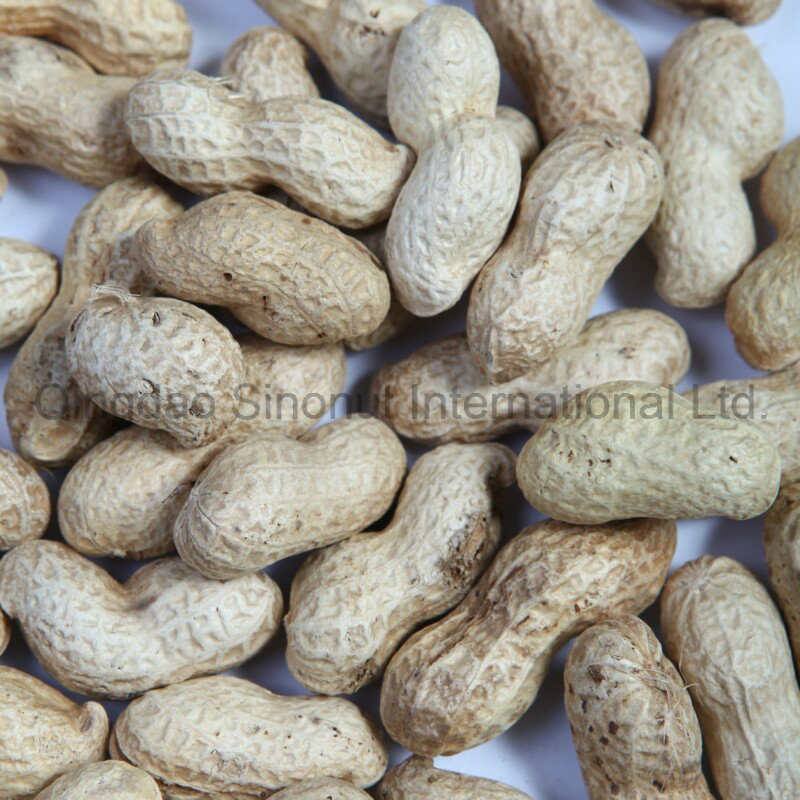 Crop Peanut in Shell of 9/11, 11/13