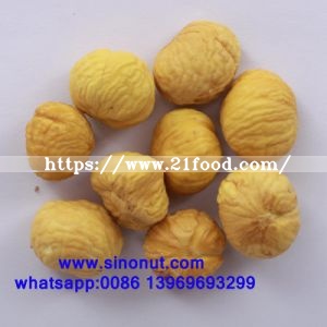 New Crop Fresh Chestnut