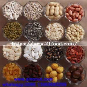 New Crop Fresh Chestnut
