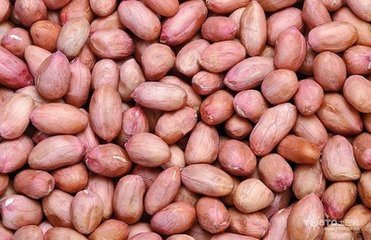China Peanut Groundnut Kernels Organic Red Skin Peanut Kernel