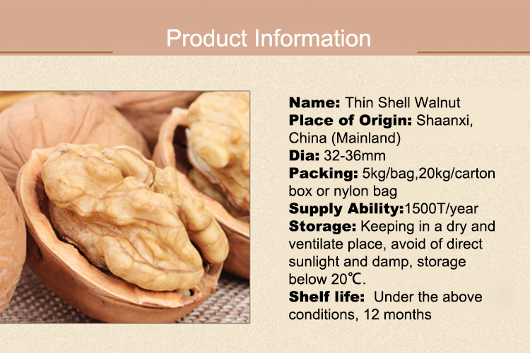 Dried Walnuts in Shell/Walnuts Kernels