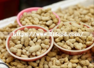 Fresh New Crop Peanuts in Shell Good Manufacture