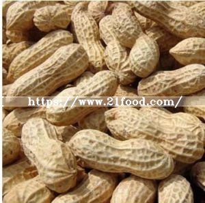 China Supplier of Natural Bulk New Crop Peanut Kernels with Good Price