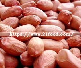 China Peanut Groundnut Kernels Organic Red Skin Peanut Kernel