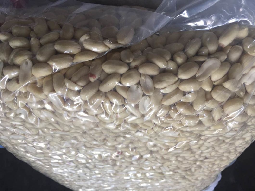 Long Shape Peanut Kernals with Red Skin