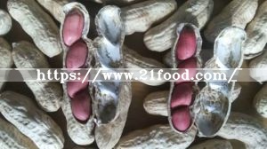 High Quality Peanut Kernels with Red Skin