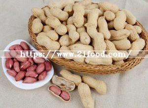 New Crop Fresh Peanut in Shell