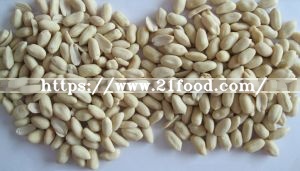 New Crop Fresh Peanut in Shell