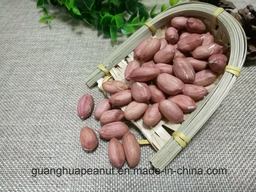 New Crop Peanut Kernels From Shandong Guanghua