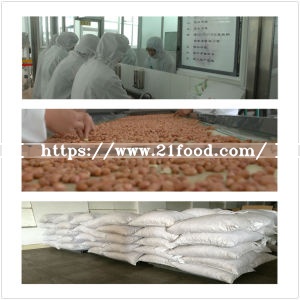New Crop Peanut Kernels From Shandong Guanghua