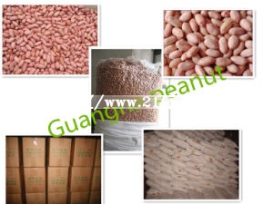 New Crop Peanut Kernels From Shandong Guanghua