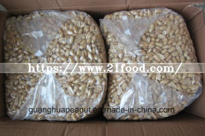 on Sale Fried Peanuts From Shandong Guanghua