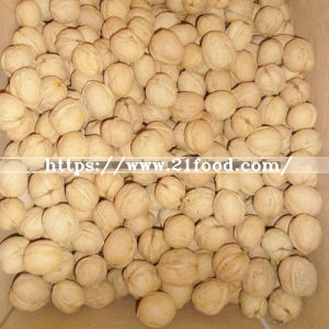 Extra Quality Papery Walnut in Shell Easy Cracked 28mm up