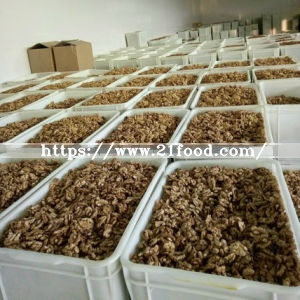 Extra Quality Papery Walnut in Shell Easy Cracked 28mm up