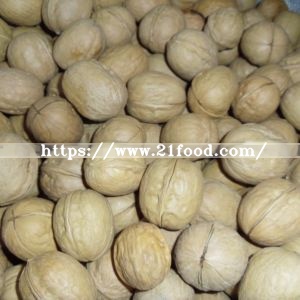 New Crop Walnut in Shell From China
