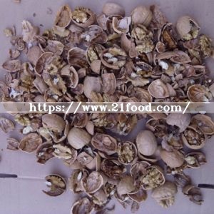 New Crop Walnut in Shell From China