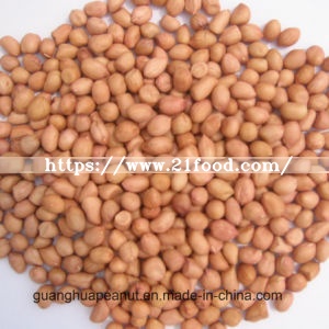 New Crop Peanut Kernels
