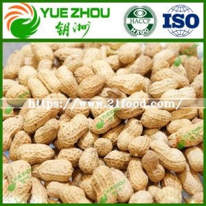 Supply Raw Peanut in Shell with Cheap Price