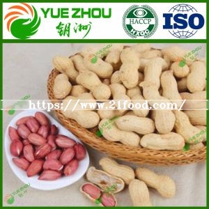 Organic Bulk Peanut in Shell Long Peanut From China with Cheap Price
