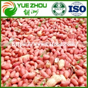 Shandong Juxian Peanuts Red Skin Peanut Kernels for Sale