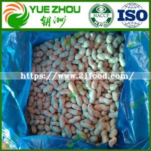 2019 Competitive New Crop Peanut in Shell with Cheap Price