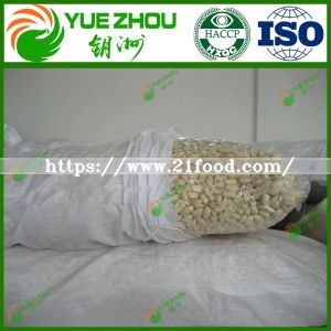 Fresh White Peanut in Shell with Competitive Price From Shandong