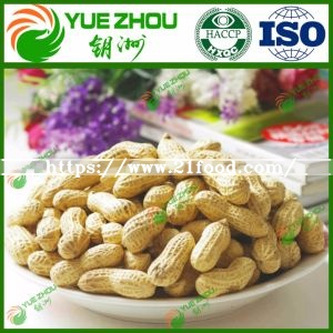 2018 Organic Peanut in Shell Round Peanut with Cheap Price
