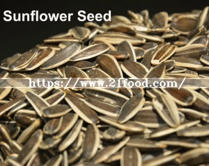 Export High-Quality Various Seeds Sunflower Seeds Pumpkin Seeds Peanuts with Rad Skin