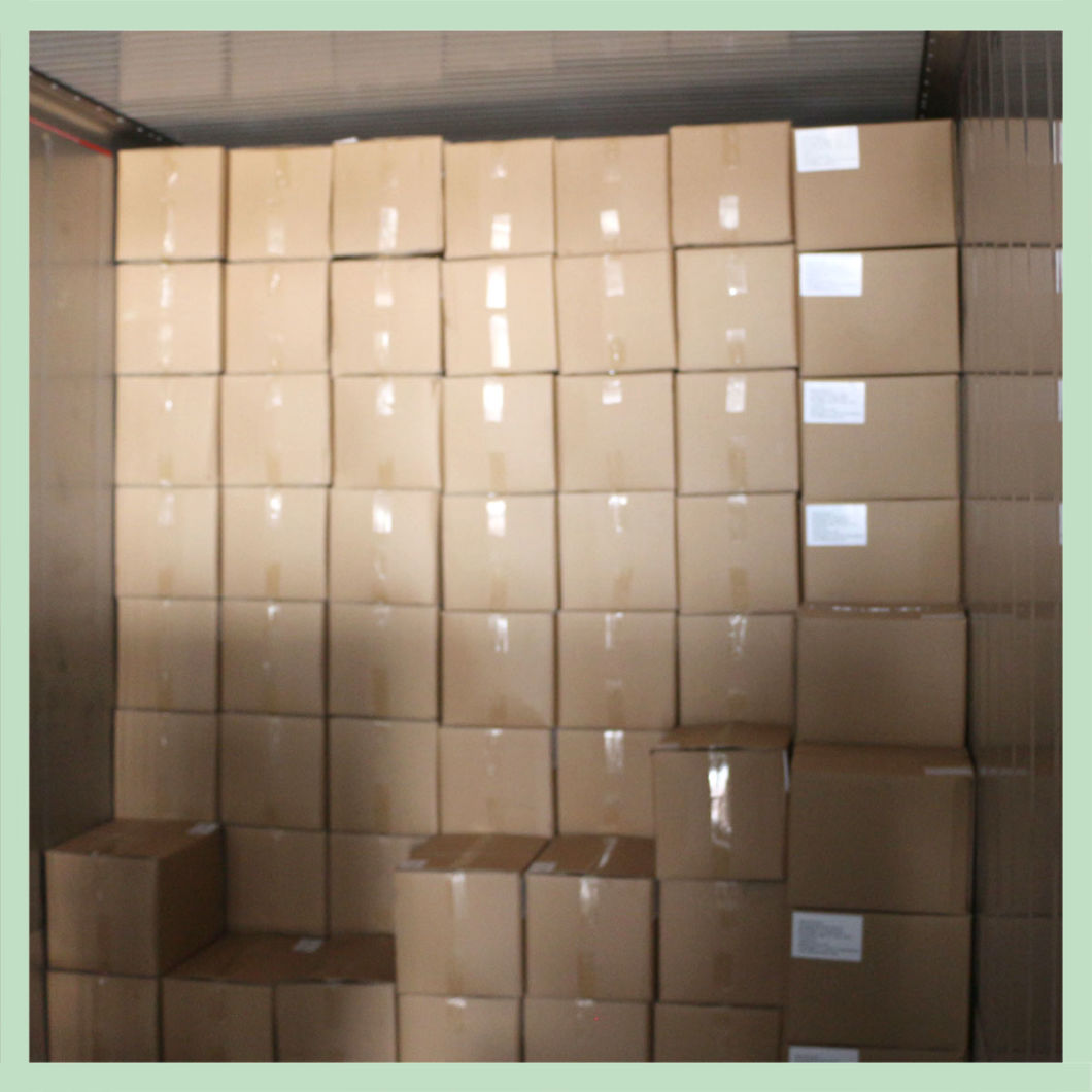 Nuts Walnut Kernel New Crop in China