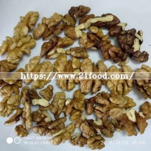 Xing Fu Walnut in Shell