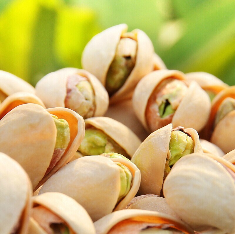 Pistachio Nuts with Shell High Quality Raw Pistachios in Bulk