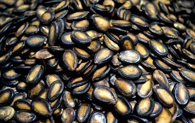 Hybrid Watermelon Seeds / Black Watermelon Seeds