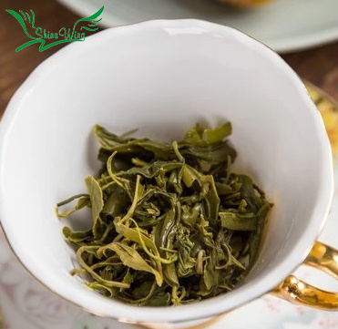 Pure Wild Huangshan Maofeng Green Tea Organic Big Leaf Tea