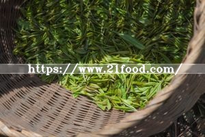 Pupular Selling Green Tea with 100% Organic and High Quality