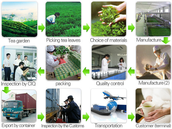 Organic Chinese Yunnan High Quality Compressed Brick PU-Erh Tea