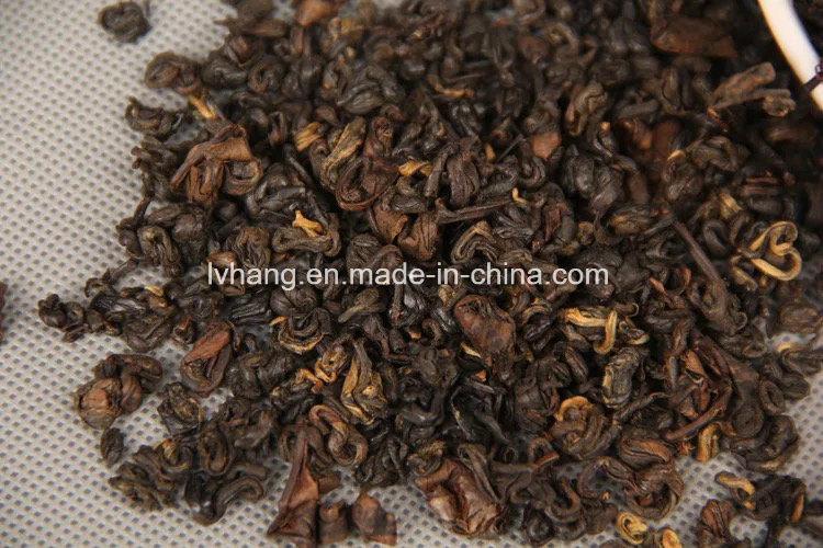Dian Hong Honey Snail Black Tea Sixth Grade