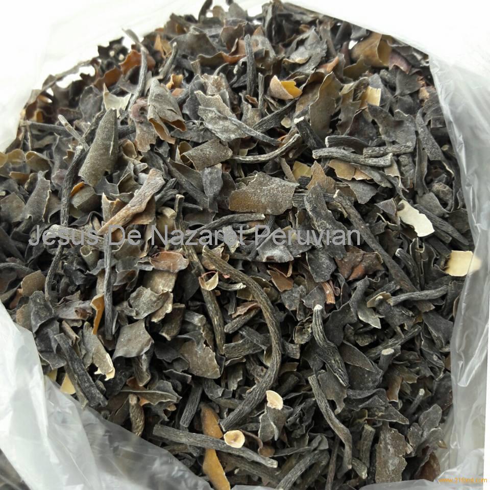 seaweed macrocystis integrifolia dry