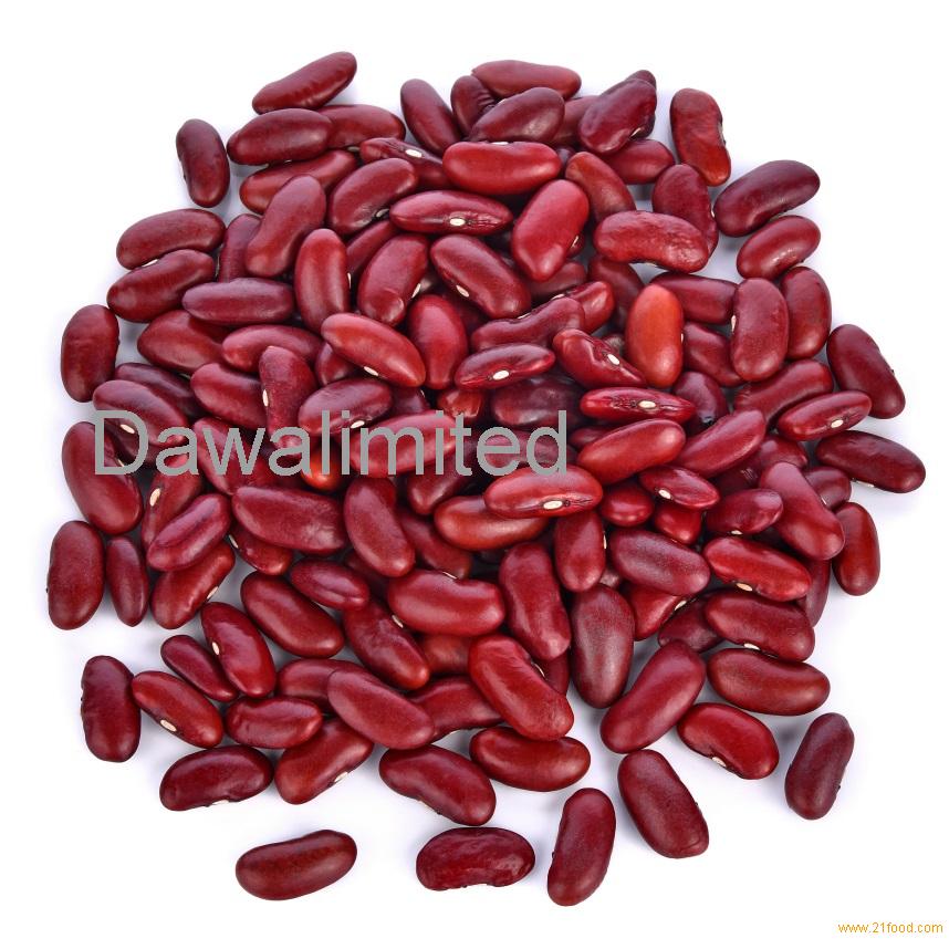 Top quality of NEW CROP2017 Dark Red Kidney Beans/DRKB / RAJMA/ Shanxi Origin/Size190-210pcs/100g/ H