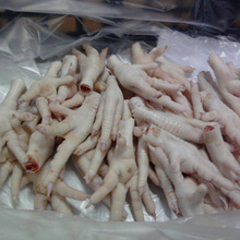 Quality Halal Frozen Whole Chicken / Frozen Chicken Paws / Frozen Chicken Feet