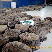 Dry Salted Beef Omasum and Buffalo Offals / Halal Beef Omasum/ Dried Salted