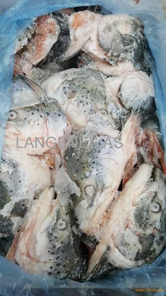 Frozen salmon heads 40ogr,Norway Frozen salmon heads price supplier ...