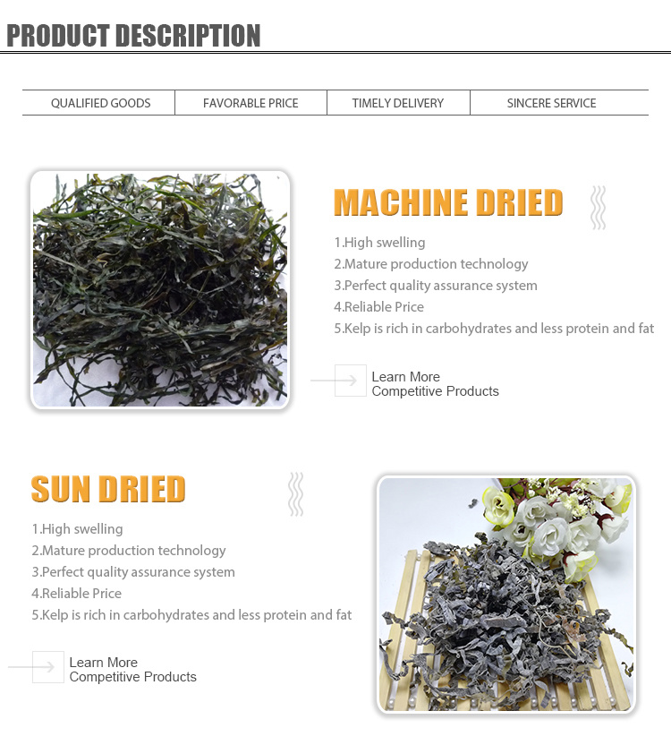 High Quality of Machine Dried Cut Sea Kelp for Laminaria Salad
