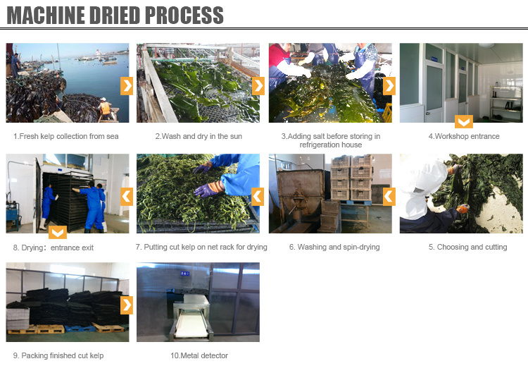 High Quality of Machine Dried Cut Sea Kelp for Laminaria Salad
