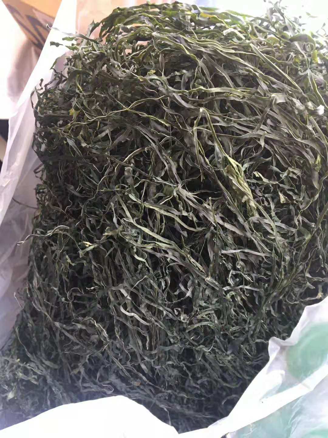 Factory Supply Machine Dried Cut Kelp, Machine Dried Laminaria Seaweed Shredded