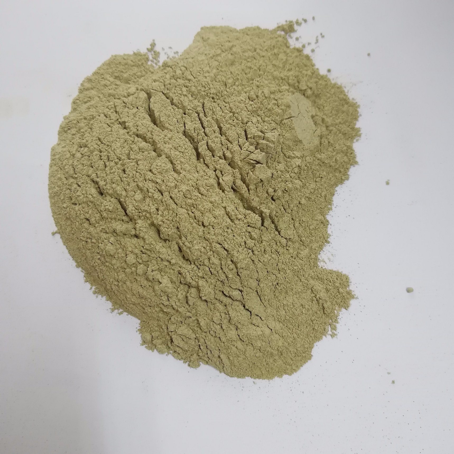 Extract Algae Powder Seaweed Extract Powder Kelp Extract Powder